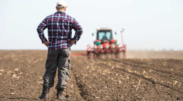 Верховна Рада ухвалила закон про створення Виплатної агенції для підтримки аграріїв за стандартами Європейського Союзу