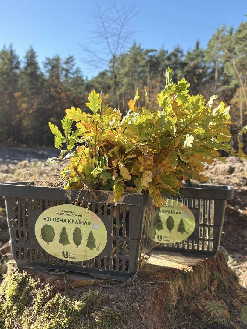 Колектив Шептицької районної державної адміністрації долучився до висадки дерев у межах президентської програми «Зелена країна»