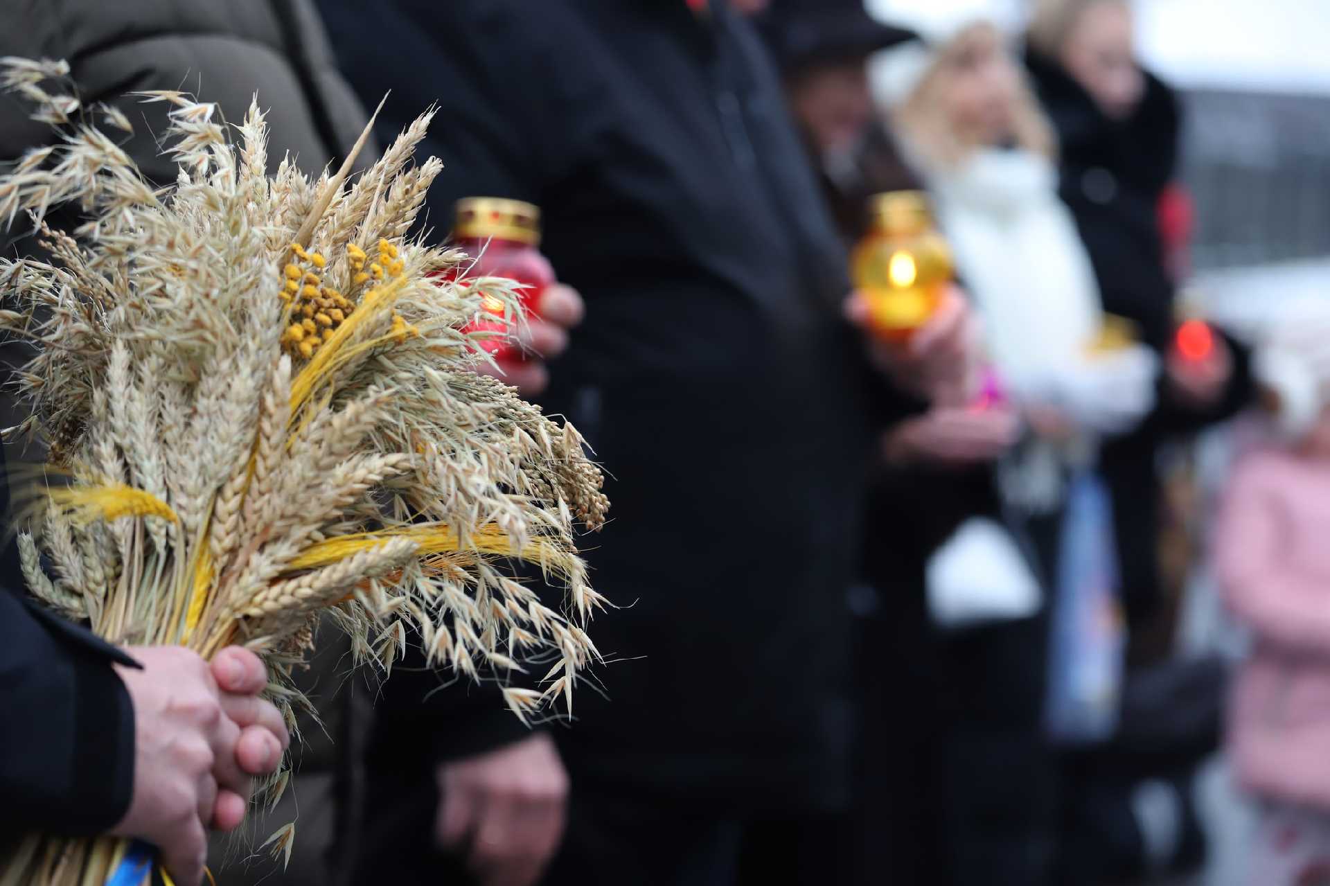 В Шептицькому районі вшанували один із найболючіших розділів нашої історії - пам’ять мільйонів жертв Голодомору