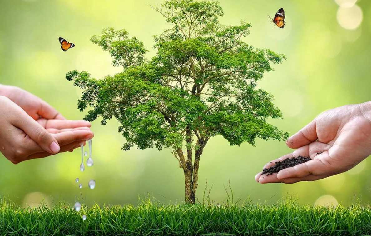 Оцінка впливу на довкілля