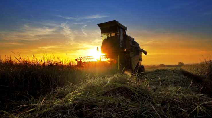 Освітньо-грантовий проєкт SEED 5.0 — можливість для малих агробізнесів України