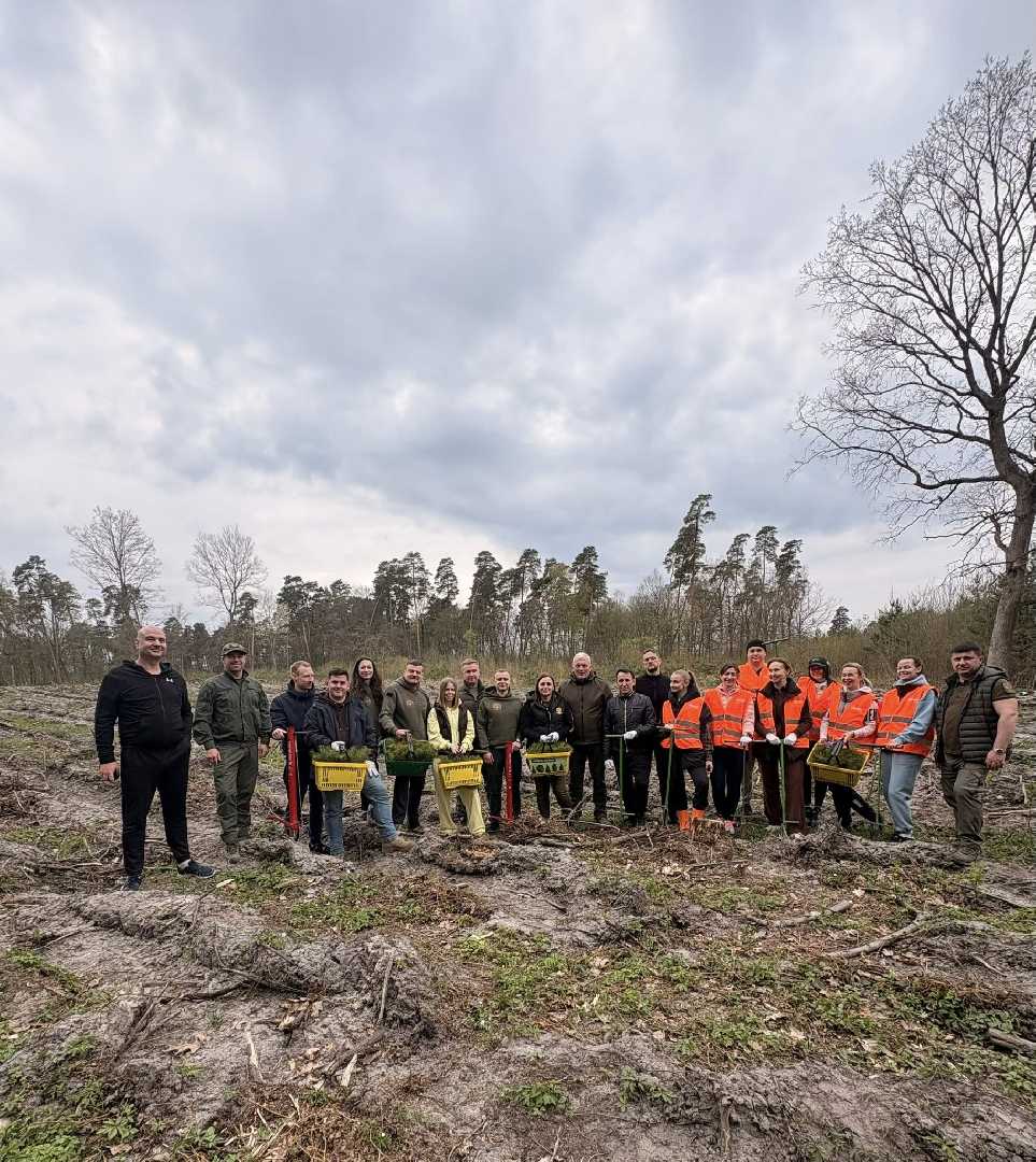 Понад 5 тисяч нових дерев висаджено у Соснівському лісництві в межах ініціативи «Зелена країна»