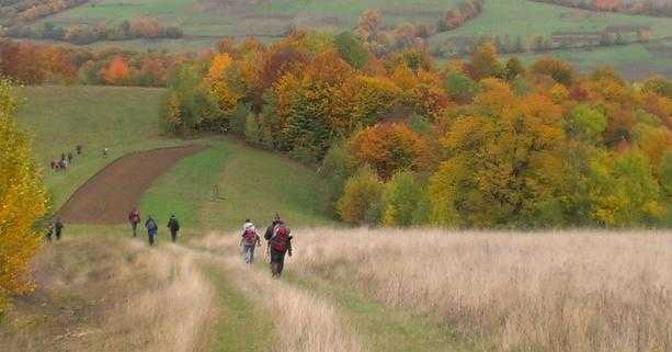 Мешканців Львівщини запрошують позмагатись у спортивному туризмі